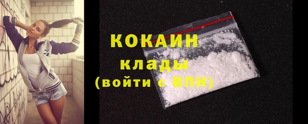 стафф Ладушкин