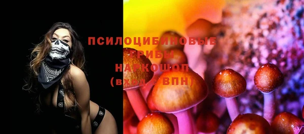 бошки Лабытнанги