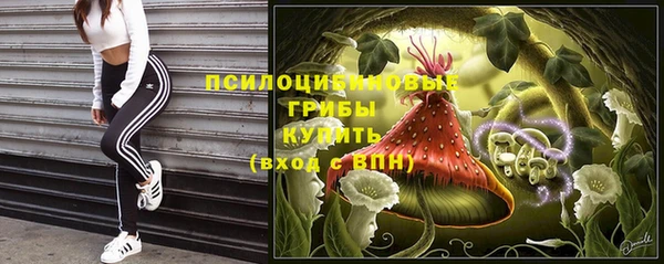 бошки Лабытнанги