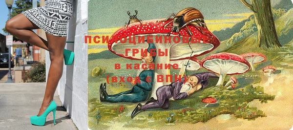 бошки Лабытнанги