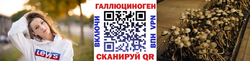 Галлюциногенные грибы ЛСД  Купить закладки  Тюкалинск 