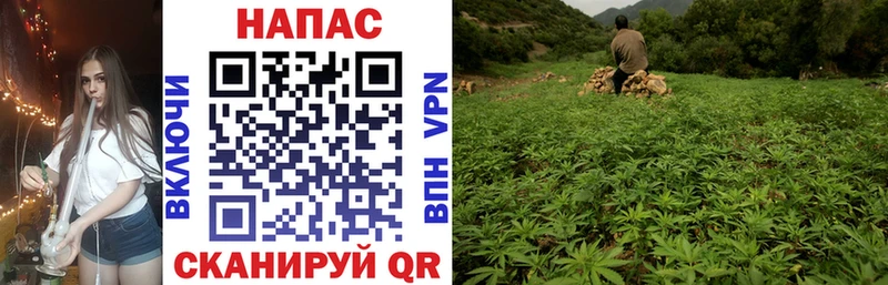 МАРИХУАНА Ganja  Купить закладки  Тюкалинск 